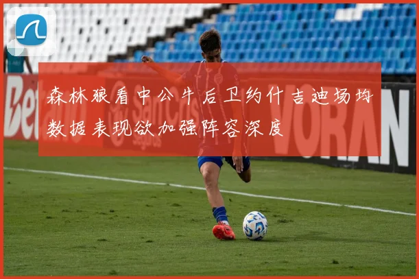 森林狼看中公牛后卫约什吉迪场均数据表现欲加强阵容深度