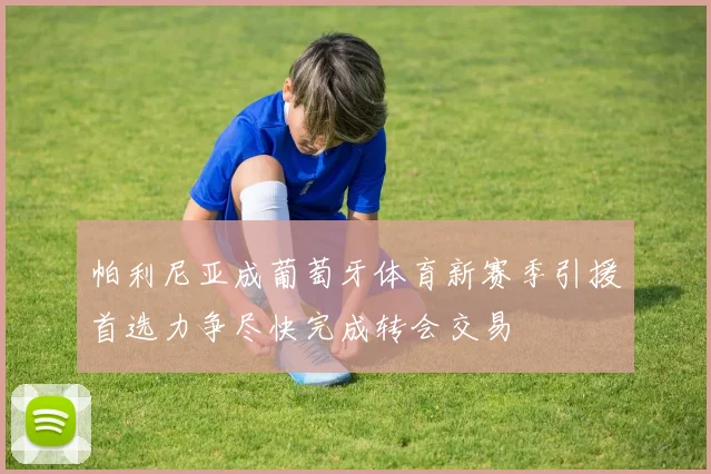 帕利尼亚成葡萄牙体育新赛季引援首选力争尽快完成转会交易