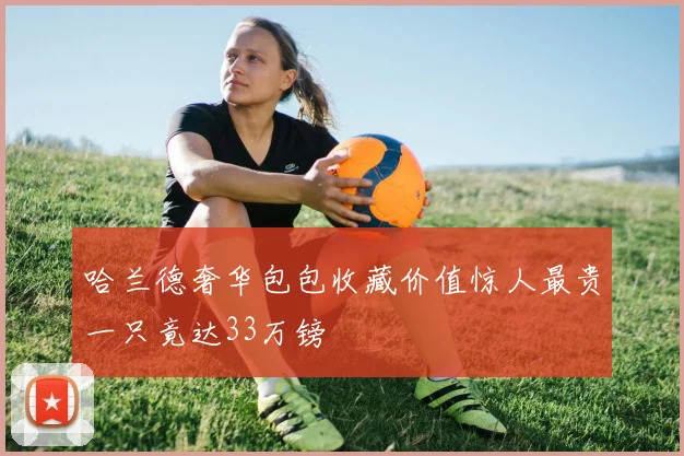 哈兰德奢华包包收藏价值惊人最贵一只竟达33万镑
