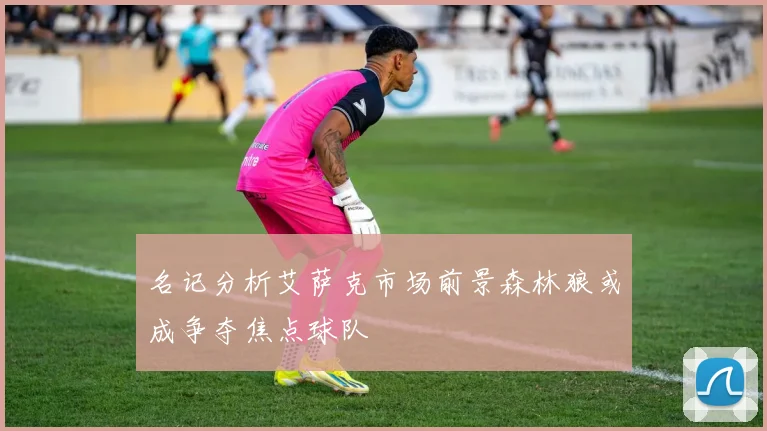 名记分析艾萨克市场前景森林狼或成争夺焦点球队
