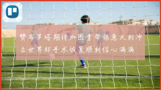 赞布罗塔期待加图索带领意大利冲击世界杯手术恢复顺利信心满满