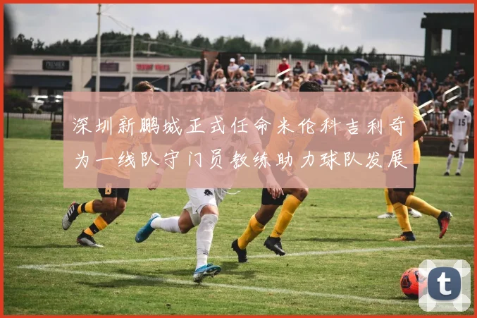 深圳新鹏城正式任命米伦科吉利奇为一线队守门员教练助力球队发展