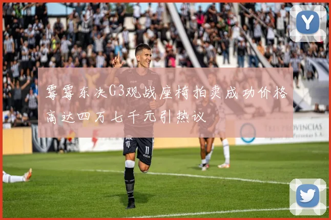 霉霉东决G3观战座椅拍卖成功价格高达四万七千元引热议