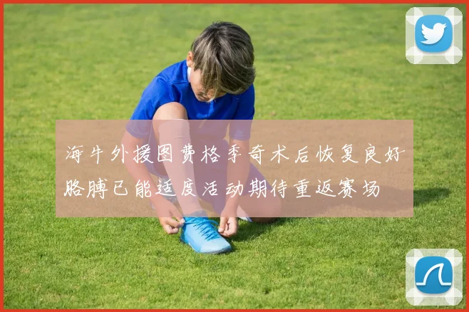 海牛外援图费格季奇术后恢复良好胳膊已能适度活动期待重返赛场